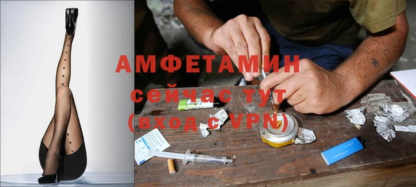 шишки Алексин