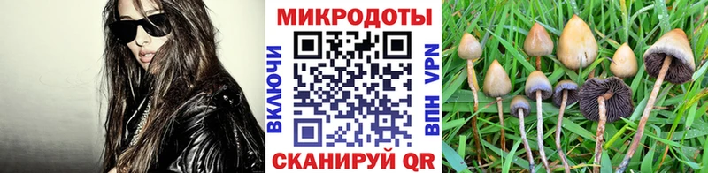 Галлюциногенные грибы GOLDEN TEACHER  что такое   Данков 